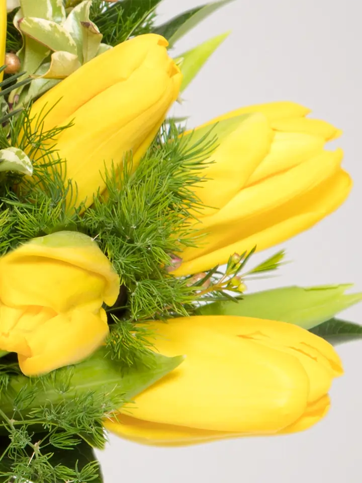 Particolare bouquet tulipani gialli